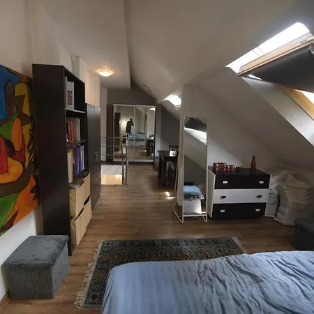 Lazy Turtle Apartment Cluj-Napoca